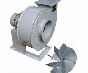 Ly tâm trực tiếp TT6C1